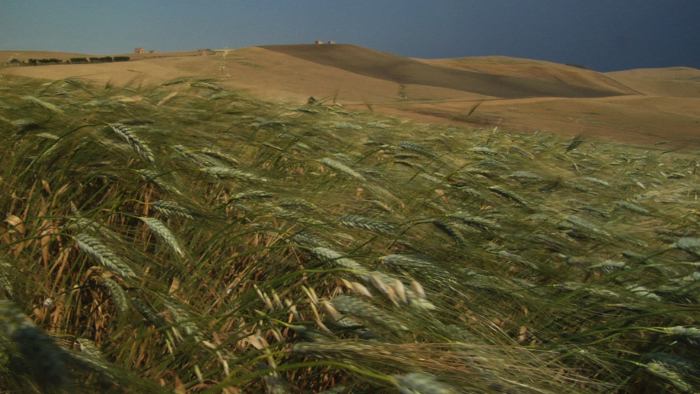 Festival delle Terre 