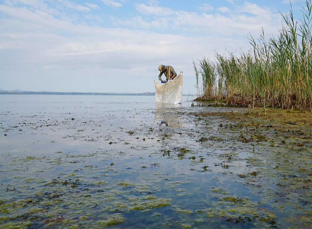 ROBERTO GHEZZI IMPERMANENTE