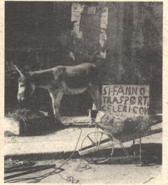 UTOPIA DEL BUON GUSTO 2005