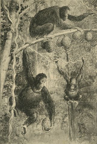 Quando la fotografia diventa “L’occhio della scienza”