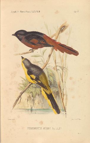 Quando la fotografia diventa “L’occhio della scienza”