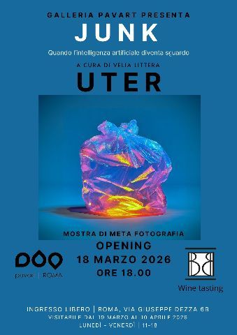 JUNK Il futuro in discarica - A cura di Velia Littera