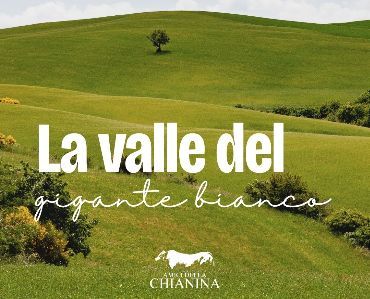 Bettolle vi accoglie nella Valle del Gigante Bianco
