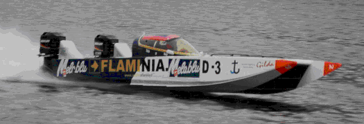 Campionato Mondiale Offshore Classe 3 categoria 4 litri